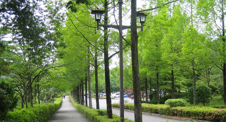 20110608