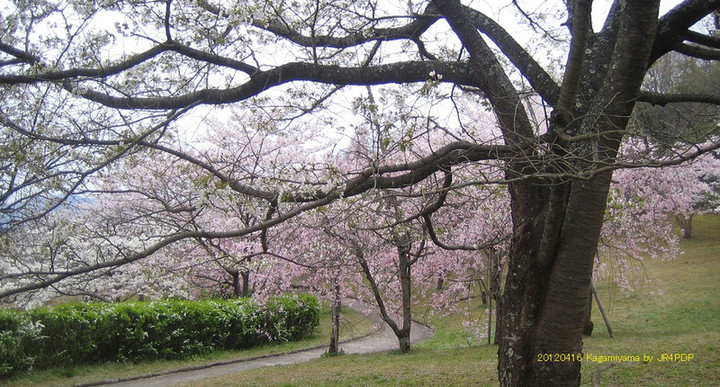 20120416