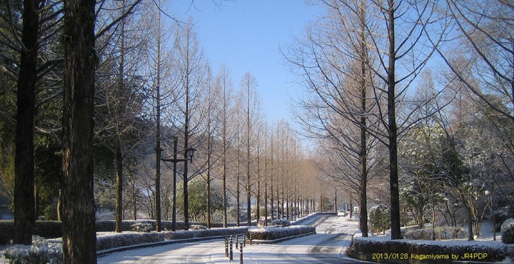 20130128