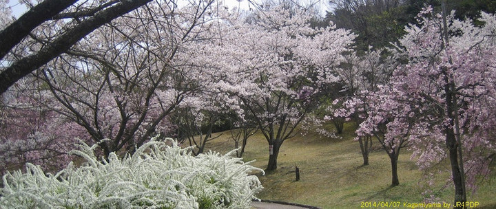 20140407