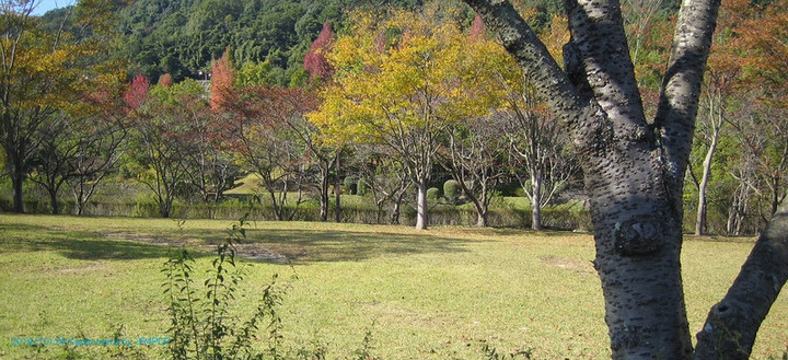 20141024
