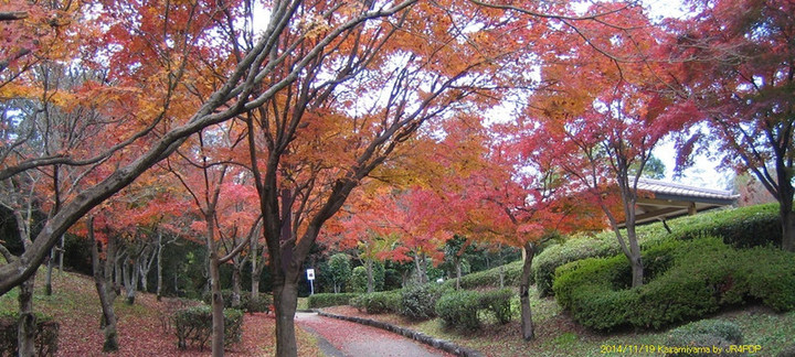 20141119