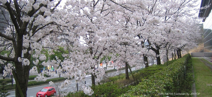 20150403toshokanmae