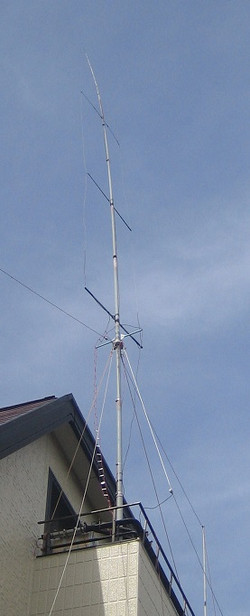 Zmtu_ant250517